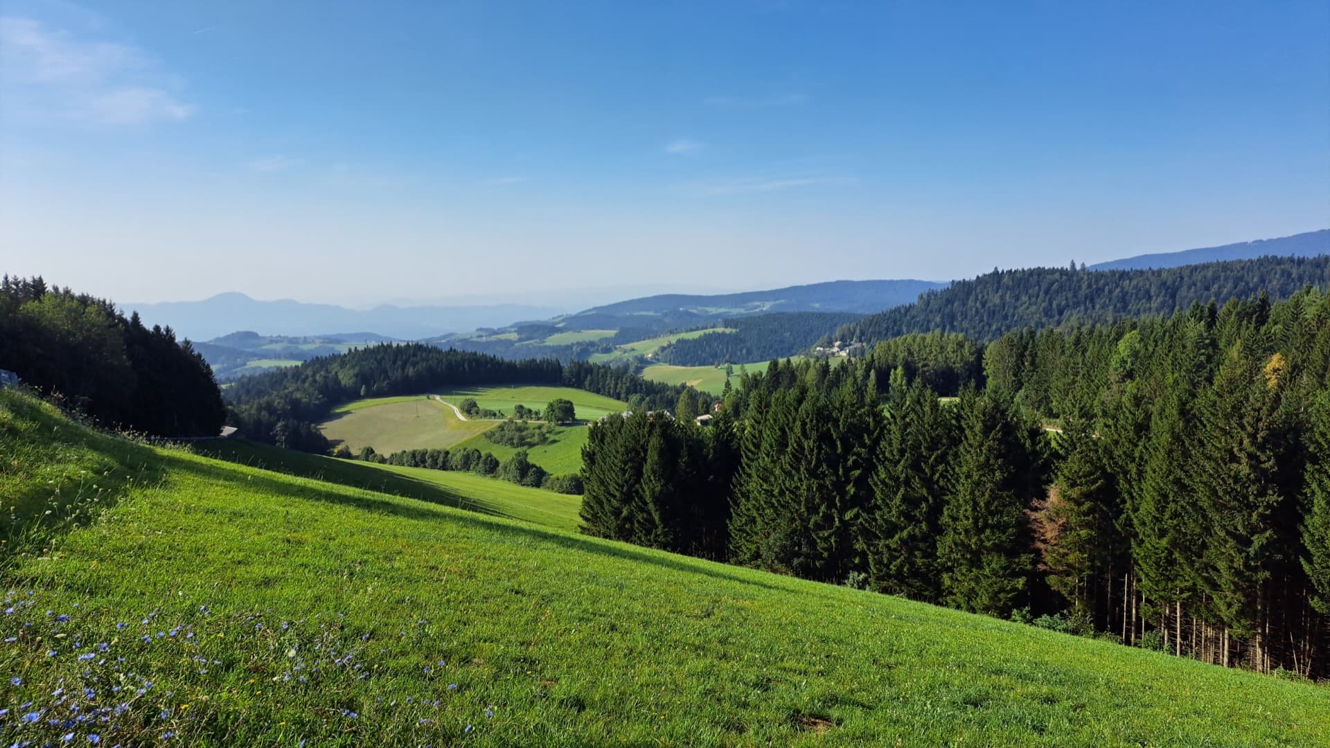 Rogla-Pohorje